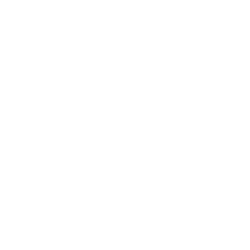 White Energy Safety Logo